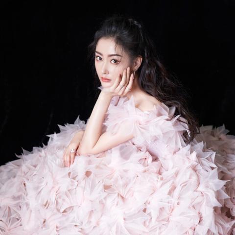 比比资源站，最新资源盛宴，数据背后的宝藏网站