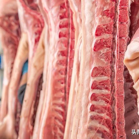 吉林禽流感疫情最新动态