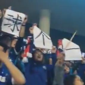 保定容大最新动态消息速递