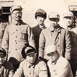 农业部最新政策解读概览