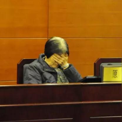 辽宁朝阳最新新闻报道更新