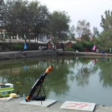 石家庄垂钓网最新鱼情更新