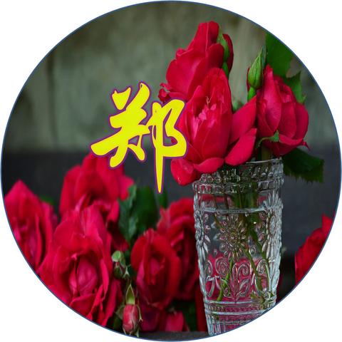 微信转发模块升级，效率提升重塑社交体验