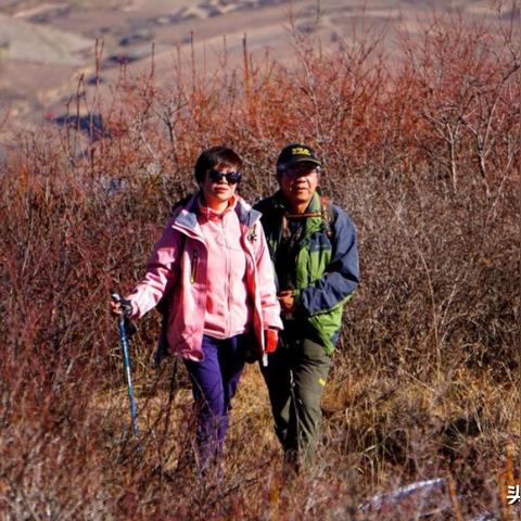 兰州大滩最新动态报道