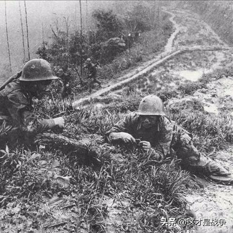 广东参战老兵最新动态消息