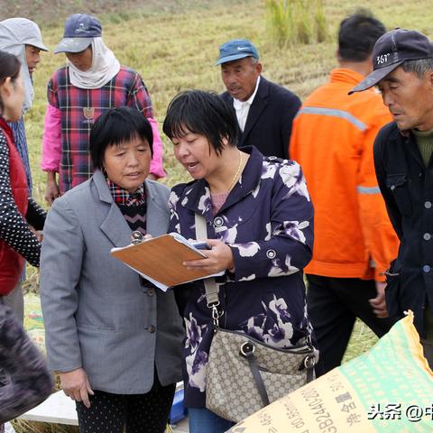 农村土地承包法最新解读，政策细节全解析