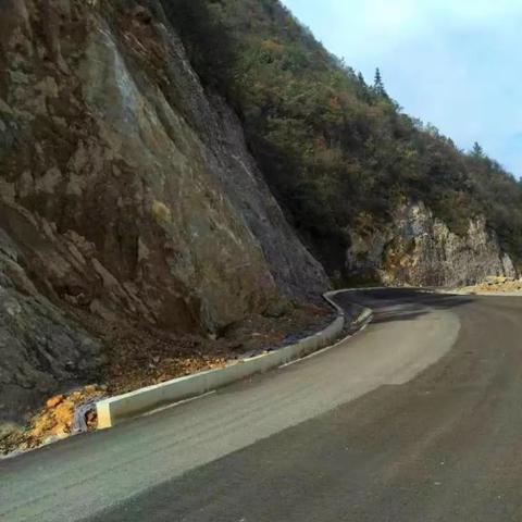 芝茅公路最新动态更新