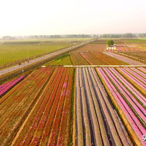 淮滨二桥最新动态更新