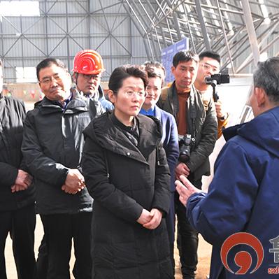 定陶汉墓最新发掘成果及研究动态