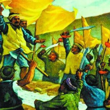 涡阳新闻热点综述报道