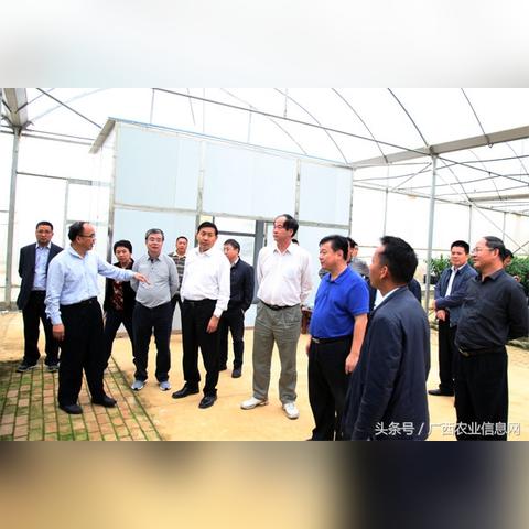 南宁双汇招聘更新消息通知