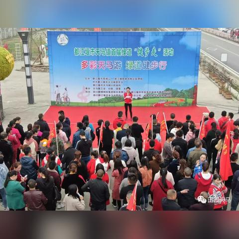 天马股份最新动态深度解析