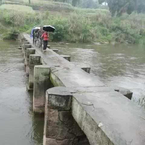 资安公路最新动态消息速递