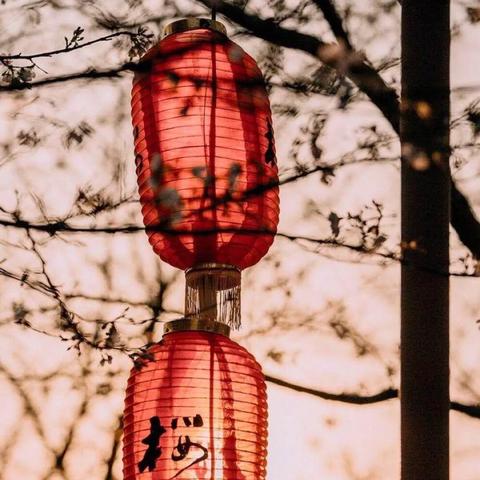 灯花笑最新章节，礼物的惊喜