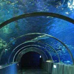 烟大隧道建设最新进展