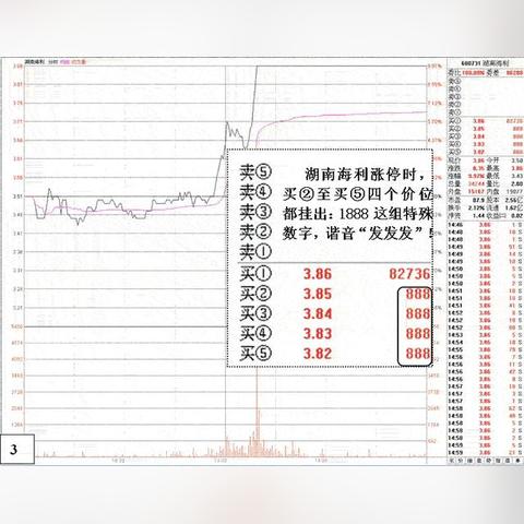 中国远洋股票最新动态深度解读