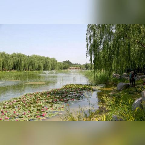 大兴区孙村规划更新进展