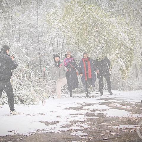 忠梁高速最新进展消息