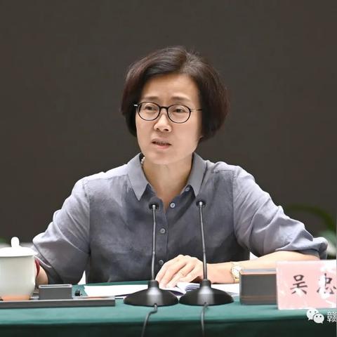 信丰县最新规划图揭秘，塑造未来城市面貌