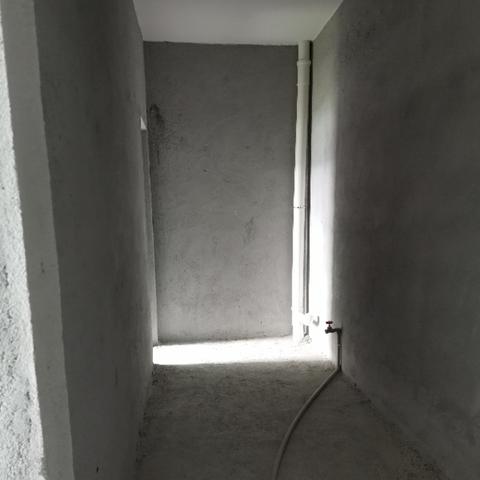 凤岗雁田最新招聘信息汇总