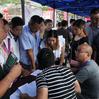 安康高新区最新招聘信息解读