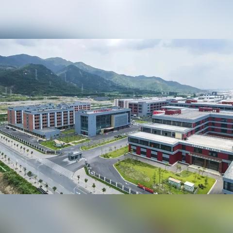 金利科技最新动态更新