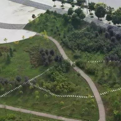 河南泌阳尚东房价最新走势分析