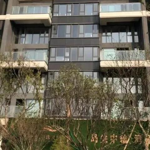 南沙自贸区最新动态报道