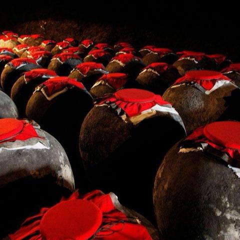 古蔺郎网招聘最新信息速递