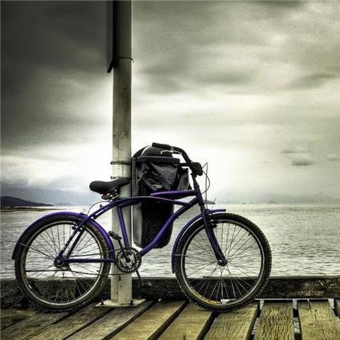 一路凡尘最新章节解析与深度探讨