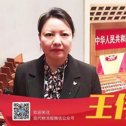 雄安新区最新动态深度解读，数据揭示未来规划展望