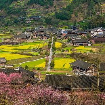 房屋补贴政策更新消息，最新动态一览