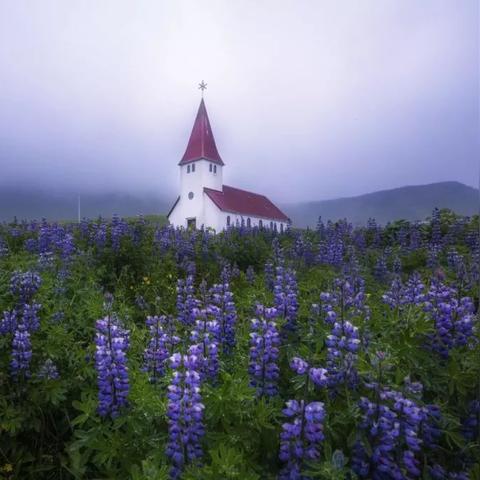 ST准油最新消息深度解读