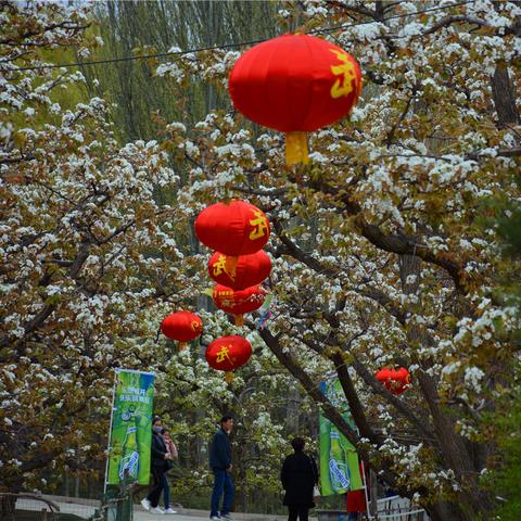 临洮太石动态更新，最新消息汇总