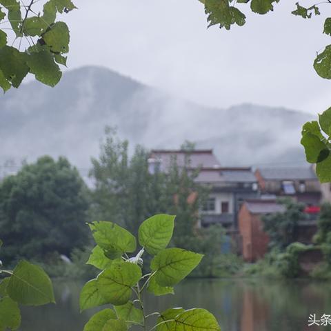 柯坦镇最新动态报道