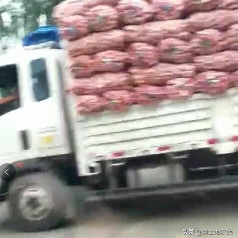 金乡楼房出售消息更新，最新房源一览