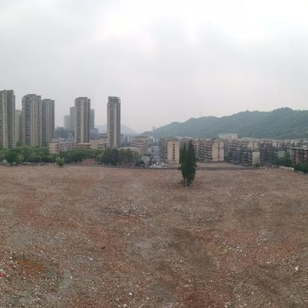 站南旺角最新动态更新