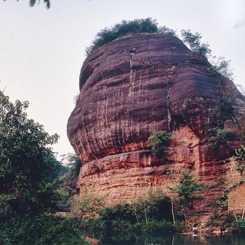 湖南衡山白果最新动态报道
