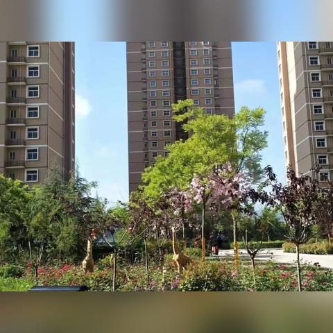 宝鸡廉租房最新动态通知