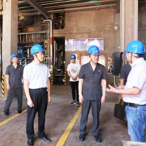 南通滨海园区最新动态深度解读