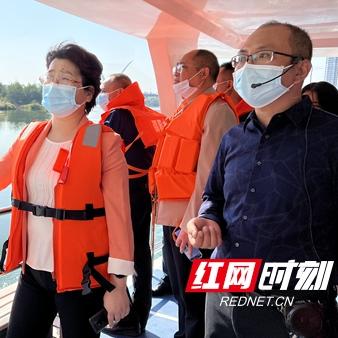 湖南新化洋溪最新新闻聚焦