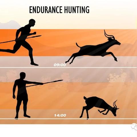 最新中国人体数据报告发布