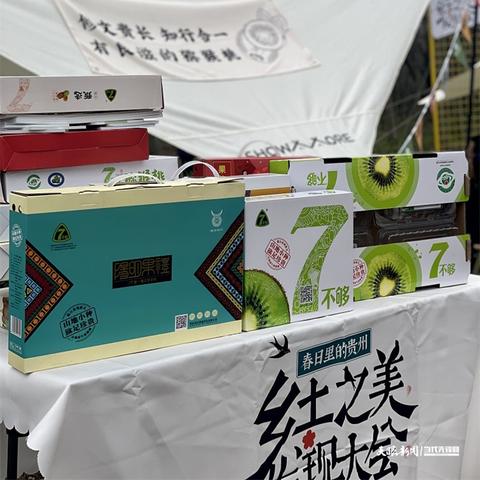 8乐游最新版下载，游戏新境界探索