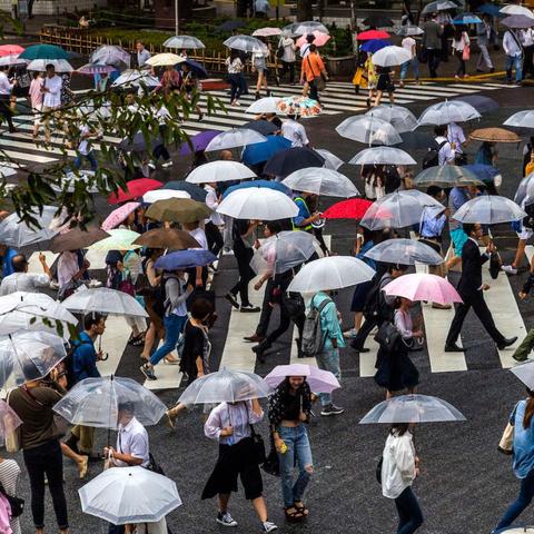 泰国局势更新，旅游业受影响解析