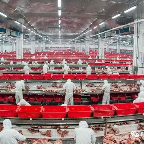 江泉集团最新消息全面解析