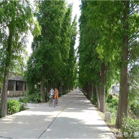 江门公租房最新动态