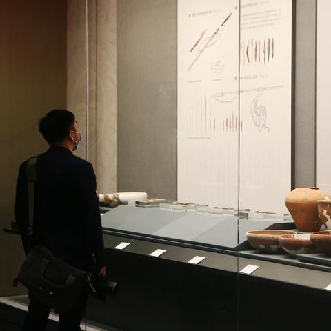 Office 2025最新版本深度解析，功能与特性概览