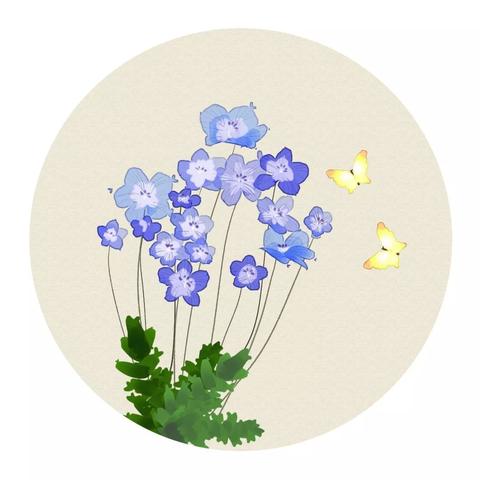 国色天香最新章节揭秘，繁华背后的隐秘