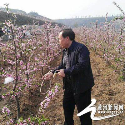 山西平陆最新新闻动态报道速递