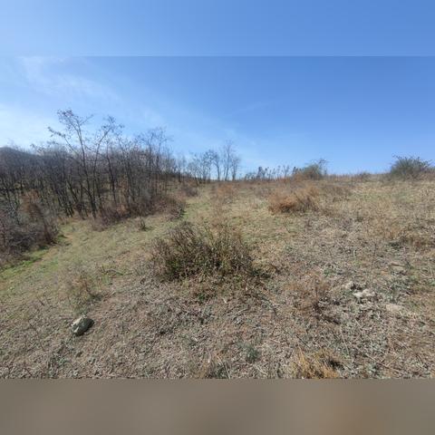 洛宁县招标公告最新信息